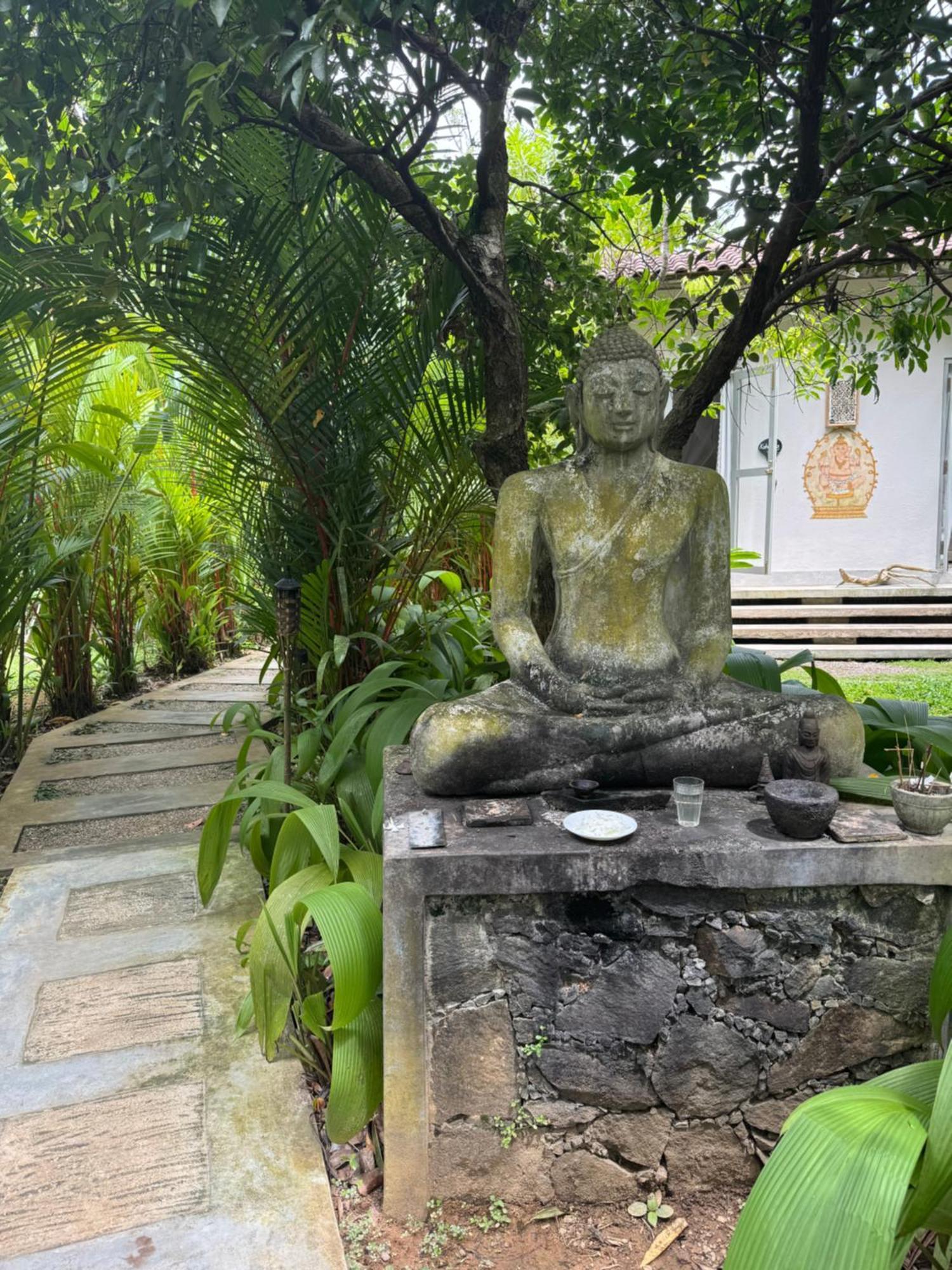 Ginganga Lodge كالي المظهر الخارجي الصورة