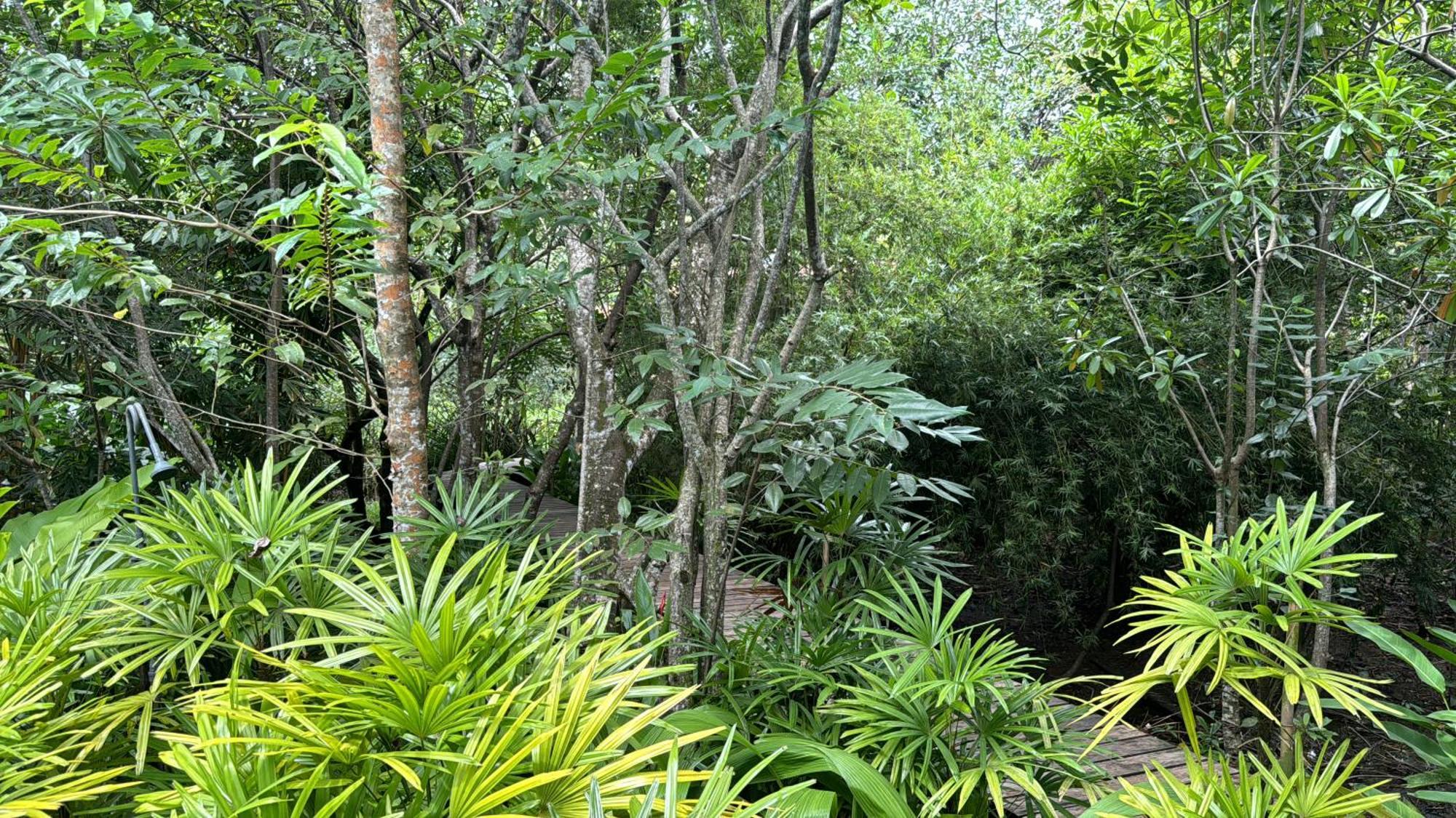 Ginganga Lodge كالي المظهر الخارجي الصورة