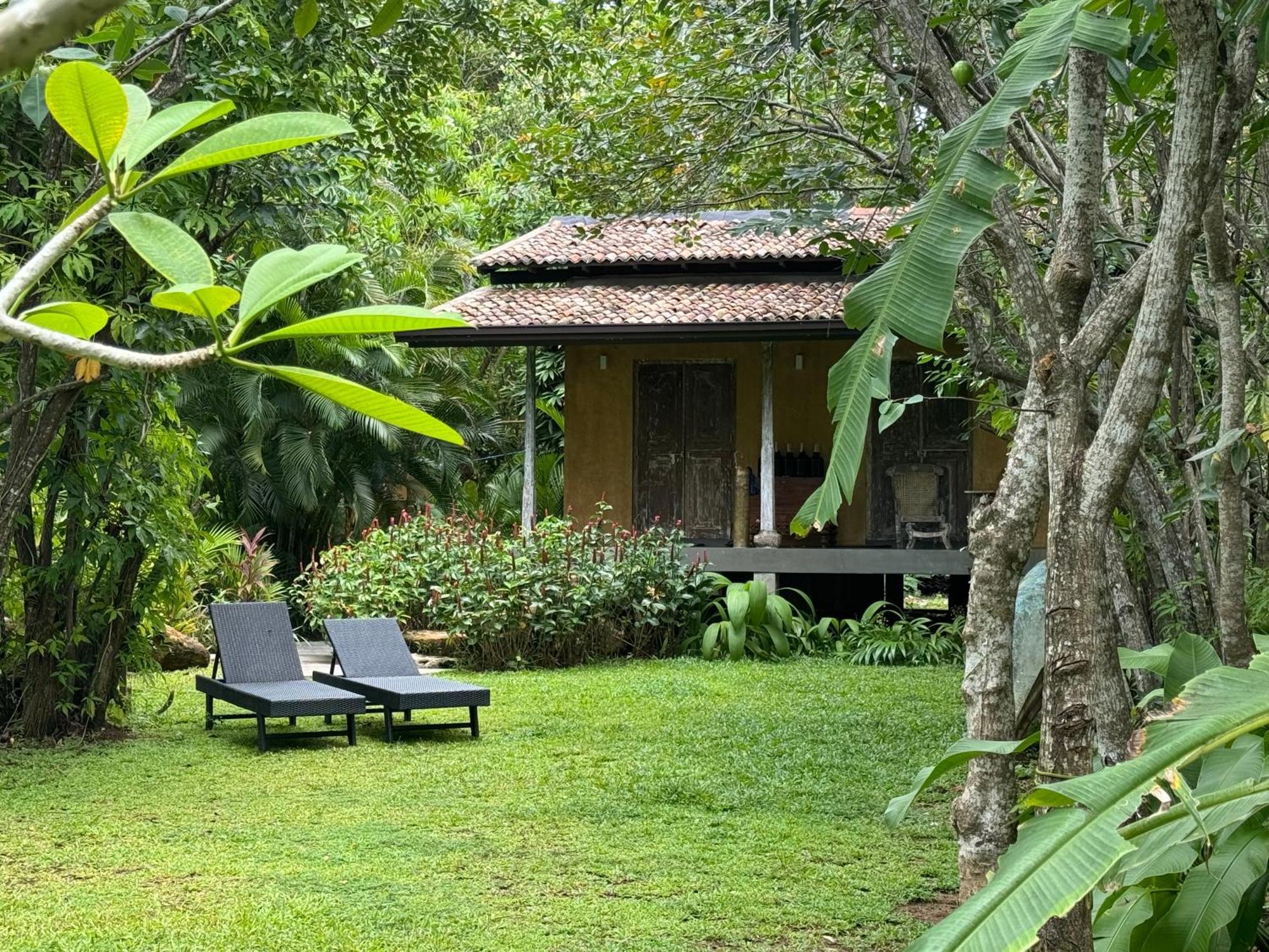 Ginganga Lodge كالي المظهر الخارجي الصورة