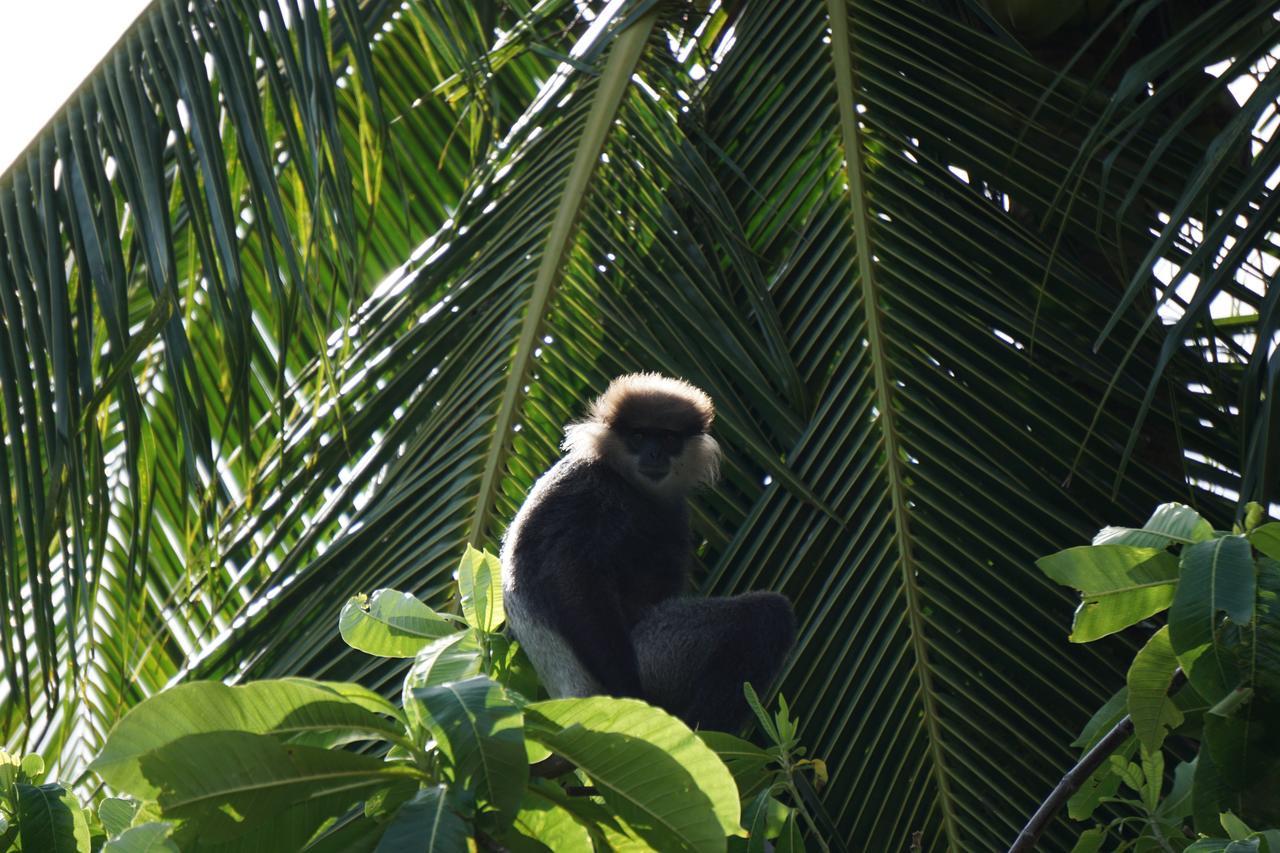 Ginganga Lodge كالي المظهر الخارجي الصورة